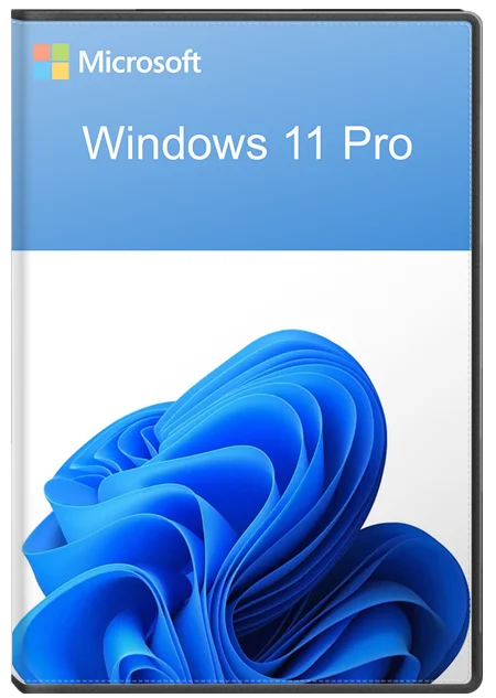 Windows 11 Professional