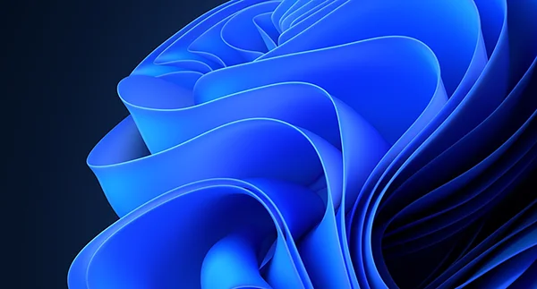 Windows 11 Professional