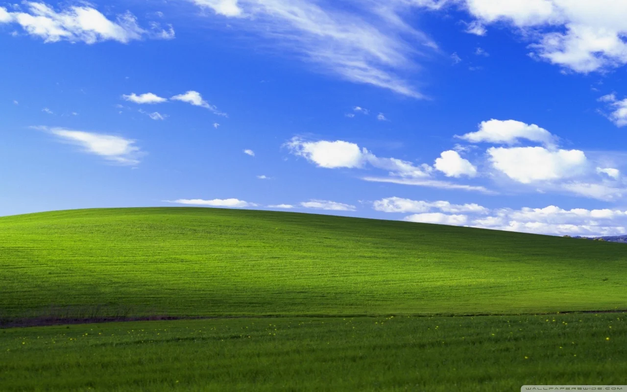 Windows XP Professional